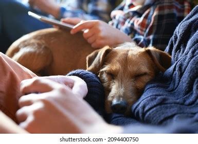 Business Owner Clothes 的图像结果