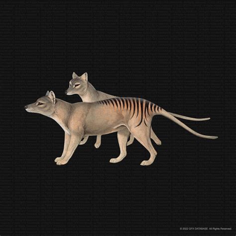 Sticker Store 的图像结果