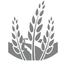 Inovic - Illuminating Life