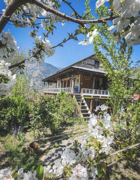 SAMSARA FARMSTAY (Naggar, Himachal Pradesh) - Campground Reviews ...