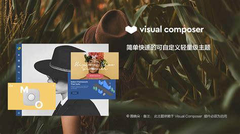 Image result for Visual Componact