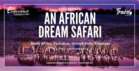 Experience An African Dream Safari: South Africa, Zimbabwe, Victoria ...
