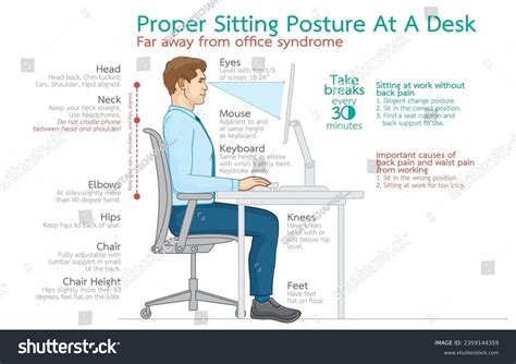 Infographic Illustration Proper Sitting Posture Deskfar Stock Vector ...