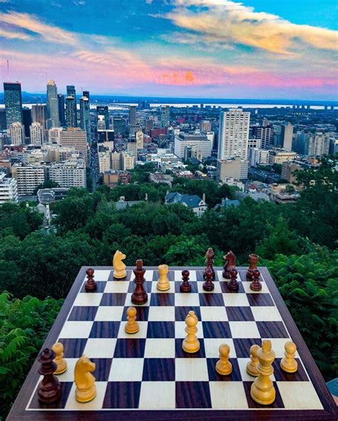 Image result for Most Beautiful Chess Game