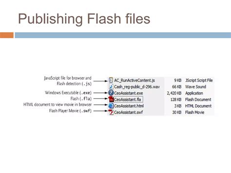 Image result for Adobe Flash Coding
