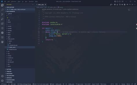 Image result for Raspberry Pi Pico C Programming Tutorial