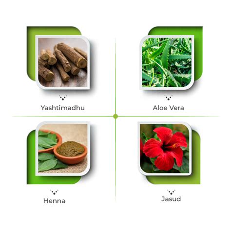 Ayurvedic Shampoo Ingredients