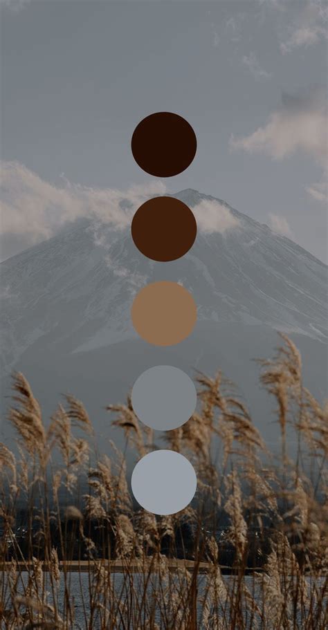 Color 的图像结果