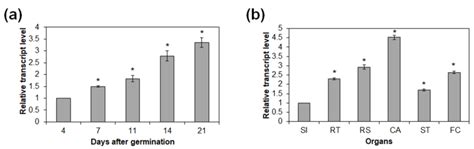 Overexpression of the DEAD-Box RNA Helicase Gene AtRH17 Confers ...