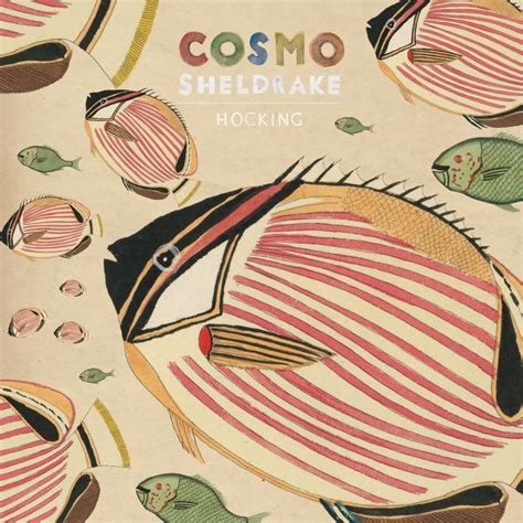 Image result for Cosmo Sheldrake Instruments