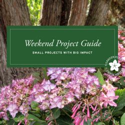 Image result for Weekend Project Topic