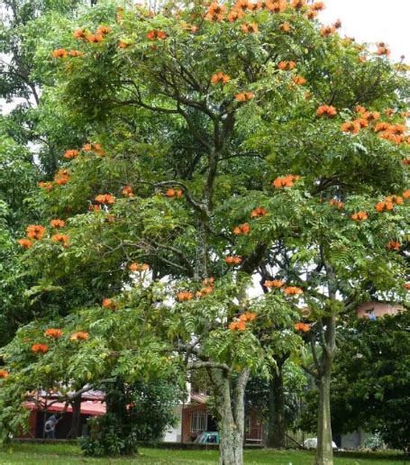 Della Nursery | Della Luxury Projects & Products