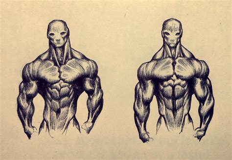 Overall insertions : bodybuilding