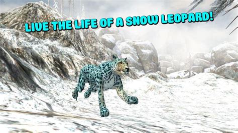 Snow Leopard Simulator 的图像结果