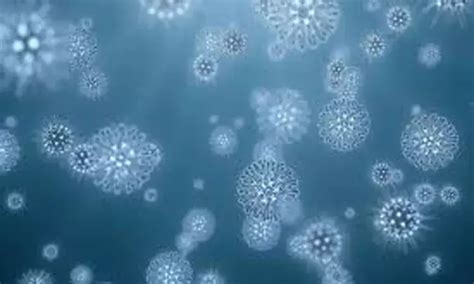 Recurrence of Gram-negative Bacterial Blood Stream Infections due to ...