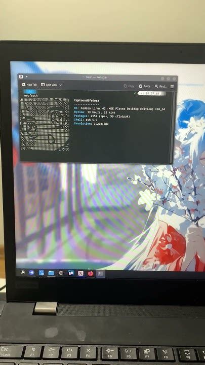 Image result for Neofetch Customization