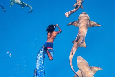 Maafushi: Nurse shark & Dolphin snorkeling with Coral garden experience ...