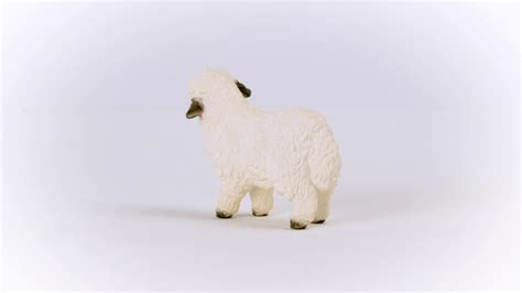 Buy Schleich Farm World New 2023, Realistic Farm Animal Toys for Kids ...