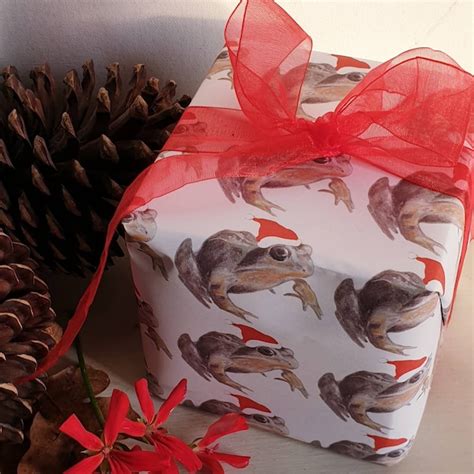 Image result for Paper Snapper of Frog