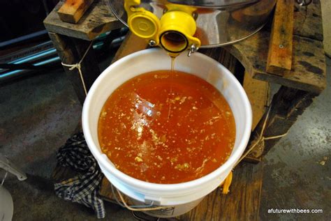 Image result for Basic Honey Processing