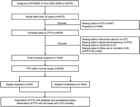 Association of serum parathyroid hormone within normal range with the ...