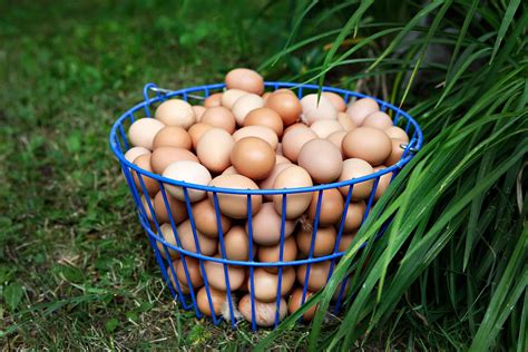 Menu - Farmers Kitchen & Bar