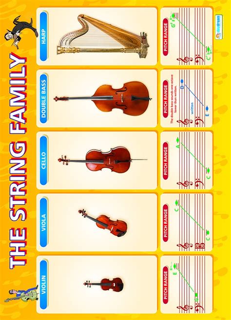 Image result for Stringed Instruments List