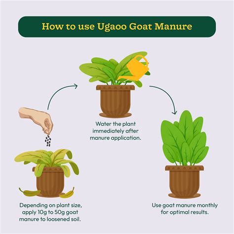 Buy Goat Manure Fertilizer & Enhance Soil Health Naturally. – Ugaoo