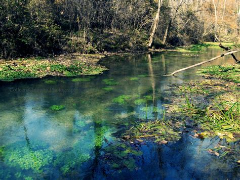 Lane Spring Wallpaper by colleenchiquita on DeviantArt