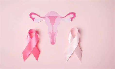 Removal of ovaries during hysterectomy for benign conditions increases ...