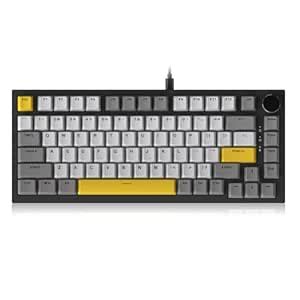 Amazon.in: Buy FIRSTBLOOD x AJAZZ AK820 75% Wired Gasket Structural ...