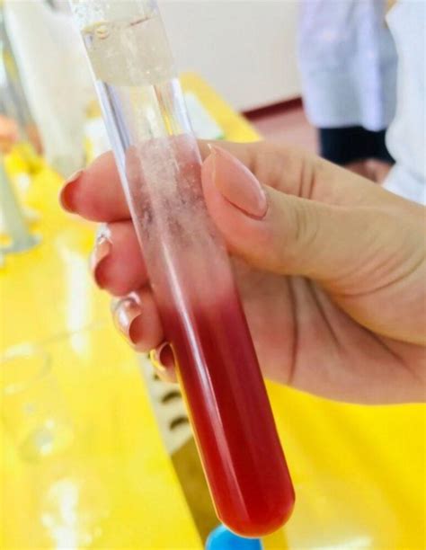 Grade 6 Science Projects 的图像结果