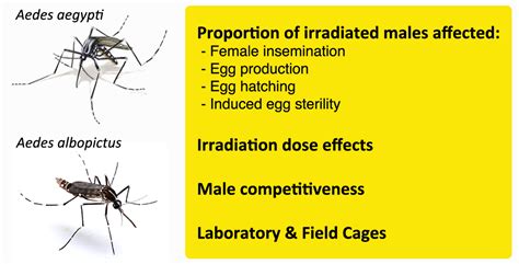 Sexual Competitiveness and Induced Egg Sterility by Aedes aegypti and ...