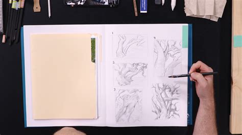 Image result for Scetching Lesson How to Draw a Tree