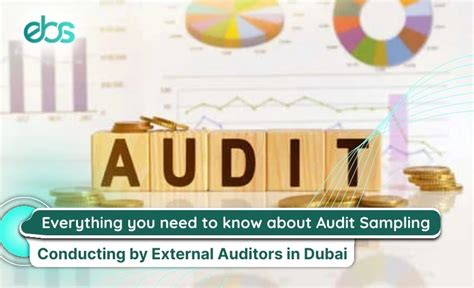 Image result for Sampling in Auditing