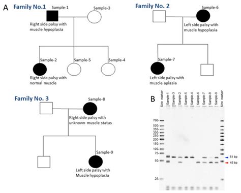 Candidate Genes in Testing Strategies for Linkage Analysis and ...