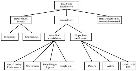 EEG-Based Control for Upper and Lower Limb Exoskeletons and Prostheses ...