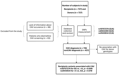 The Relationship Between Genetic Variants at Loci 9p21, 6q25.1, and ...