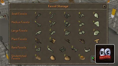 Image result for OSRS Fossils Guide