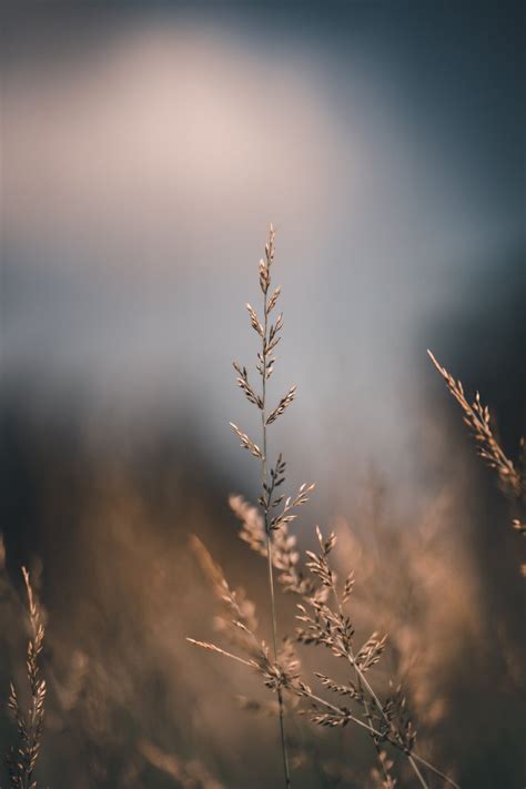 Farmmer (@solomon207) | Twitter