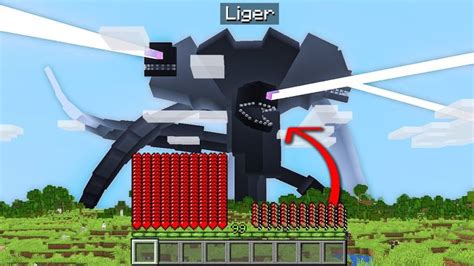 Image result for Minecraft Customize Mobs Tutorial