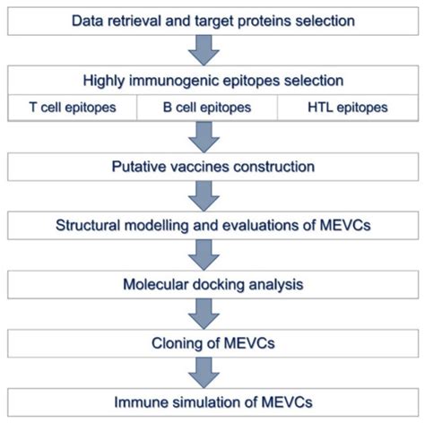 Targeted Protein-Specific Multi-Epitope-Based Vaccine Designing against ...
