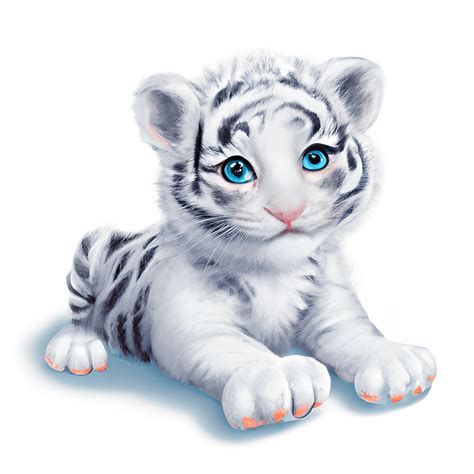 White Tigers Cubs With Blue Eyes