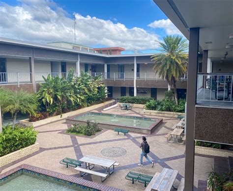 University of South Florida: Admissions, Ranking, Acceptance Rate ...