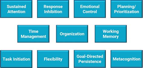 Image result for Executive Functions 101