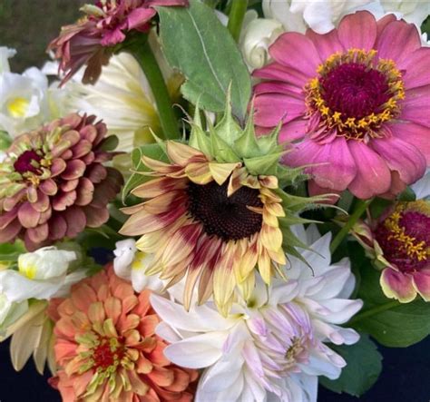 Bloom & Blossom: A Floral Arranging Workshop at Selah Flower Farm, 303 ...