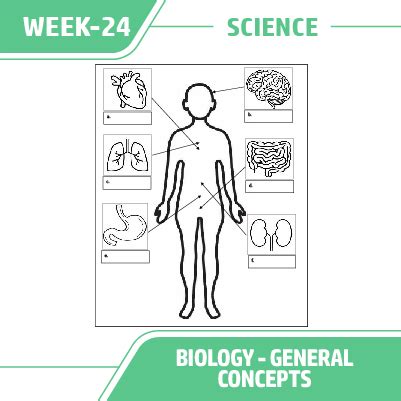 4th Class Science 的图像结果