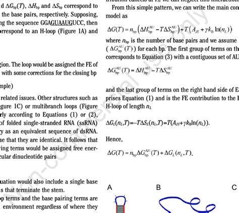 RNA Loop 的图像结果