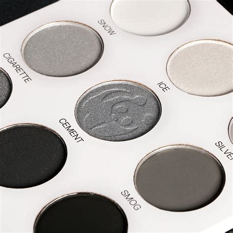 Buy DE'LANCI Panda Grey Eyeshadow Palette Online in India | De'Lanci ...
