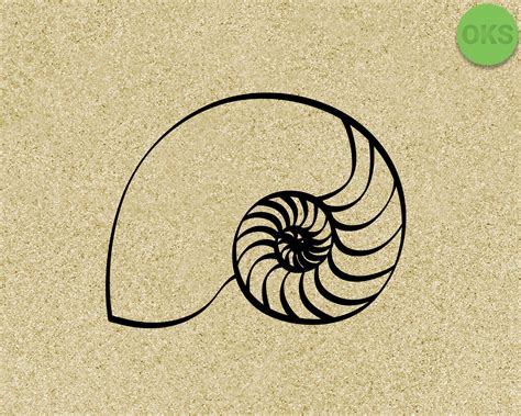 Image result for Nautilus Shell Matrix Multiplication by Vector